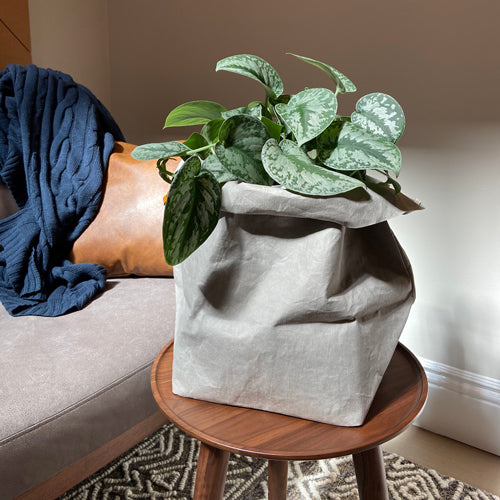 plant pot sacks Foldable Plant Pot Bags