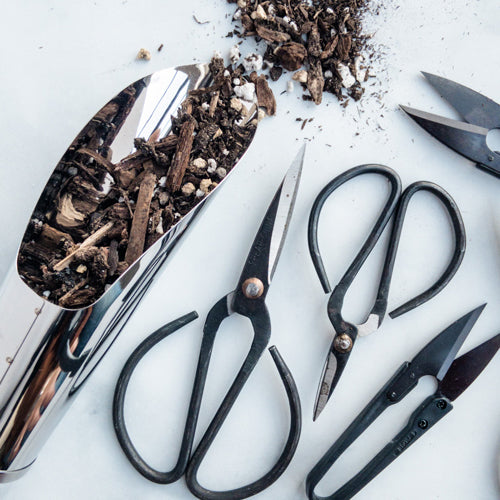 vintage garden scissors 4-Piece Scissors & Pruners Set – Plantheology