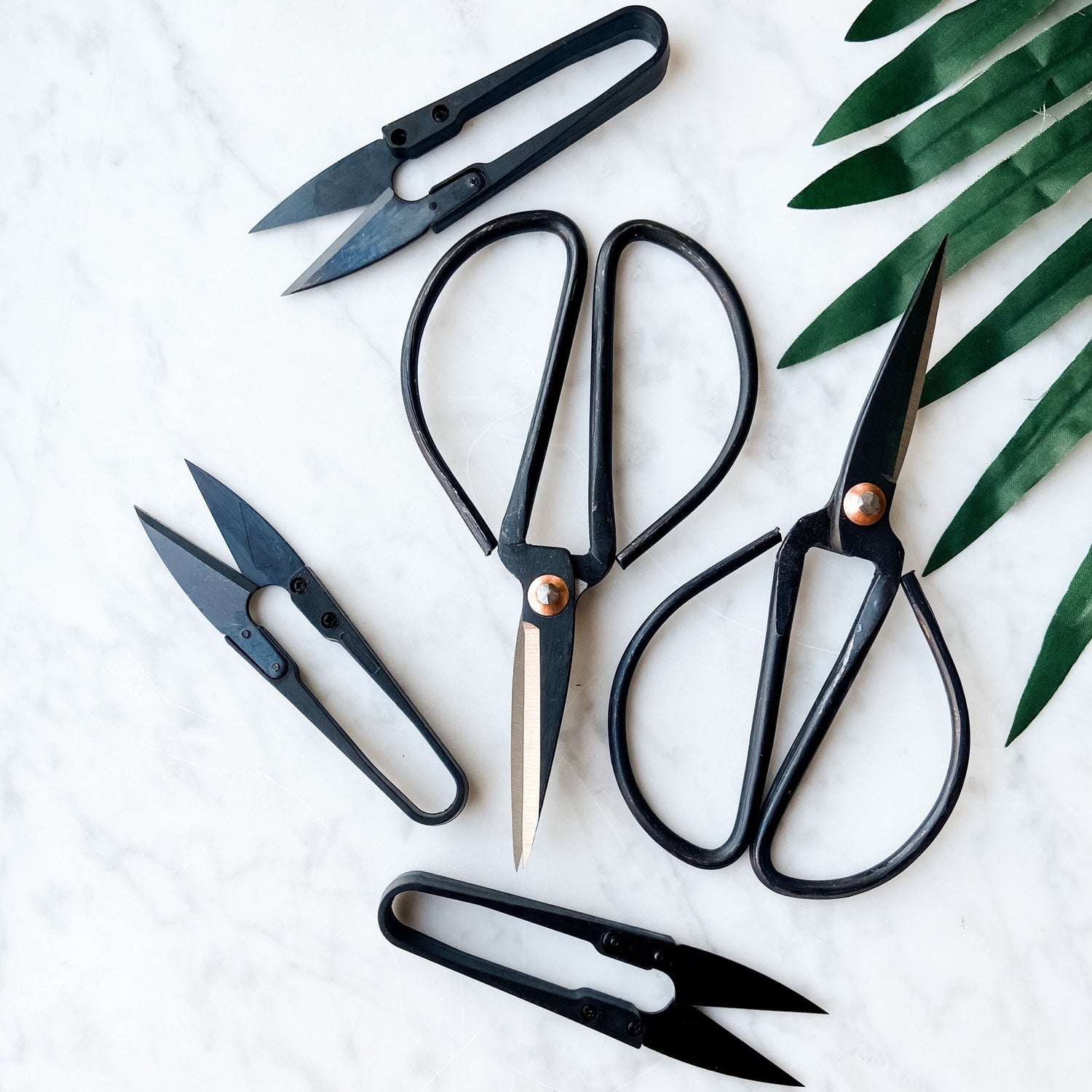 Plant Tools & Accessories