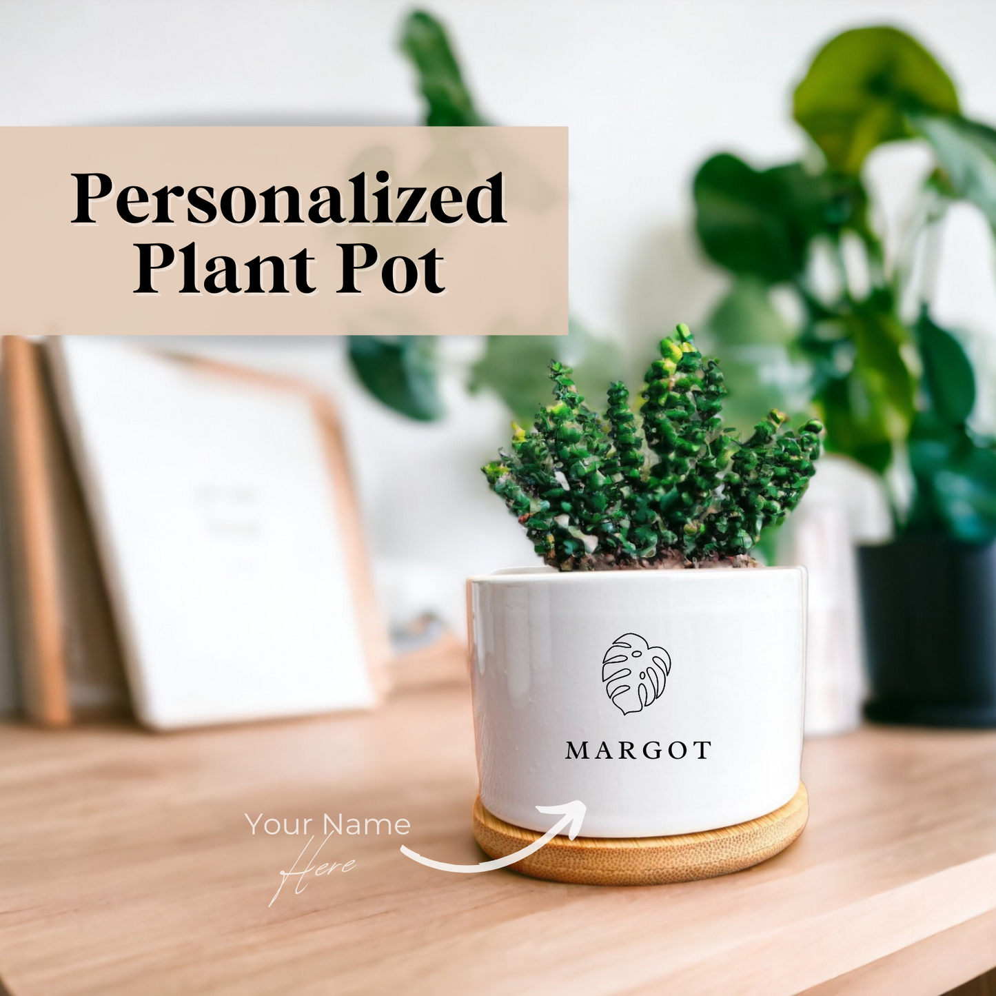 Personalized Mini Indoor Plant Pots