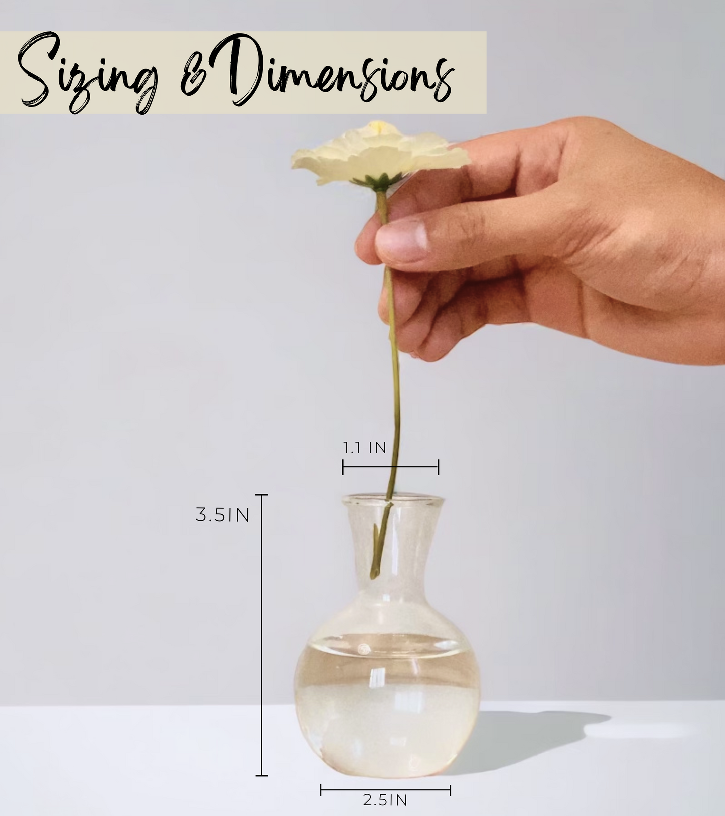 Plant Propagation Stations for Home Decor