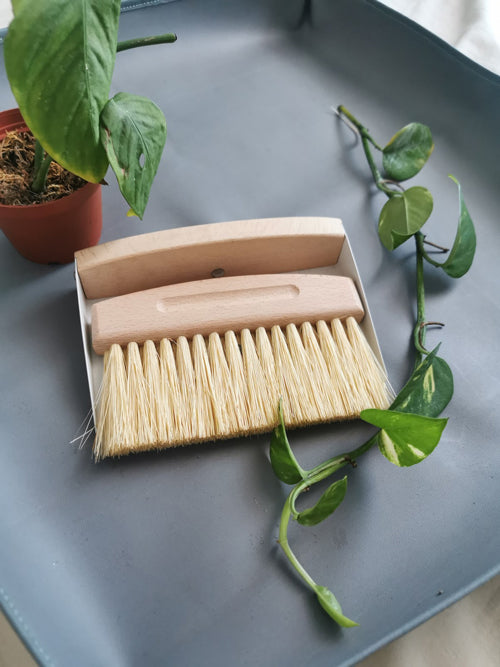 Mini Dustpan