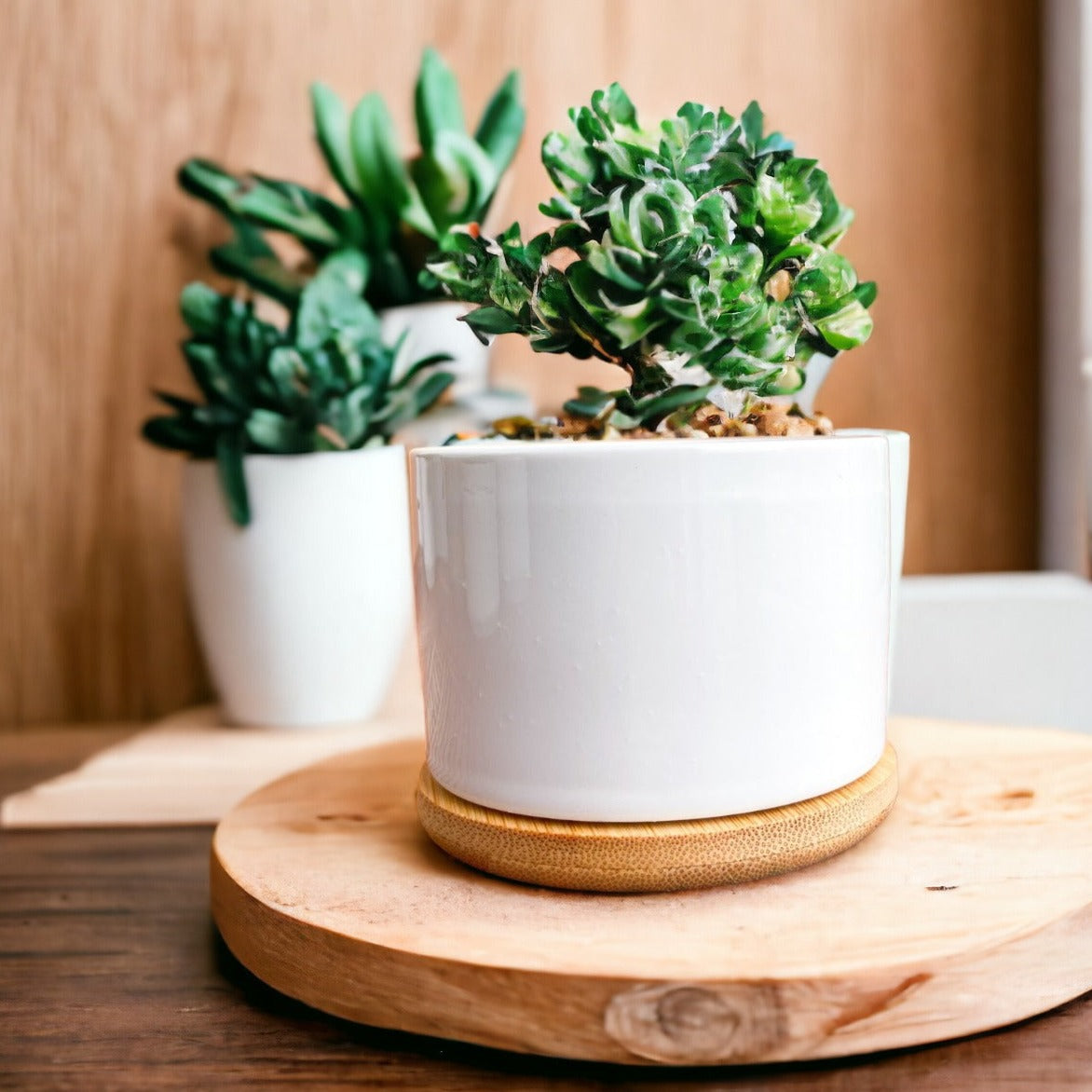 Personalized Mini Indoor Plant Pots