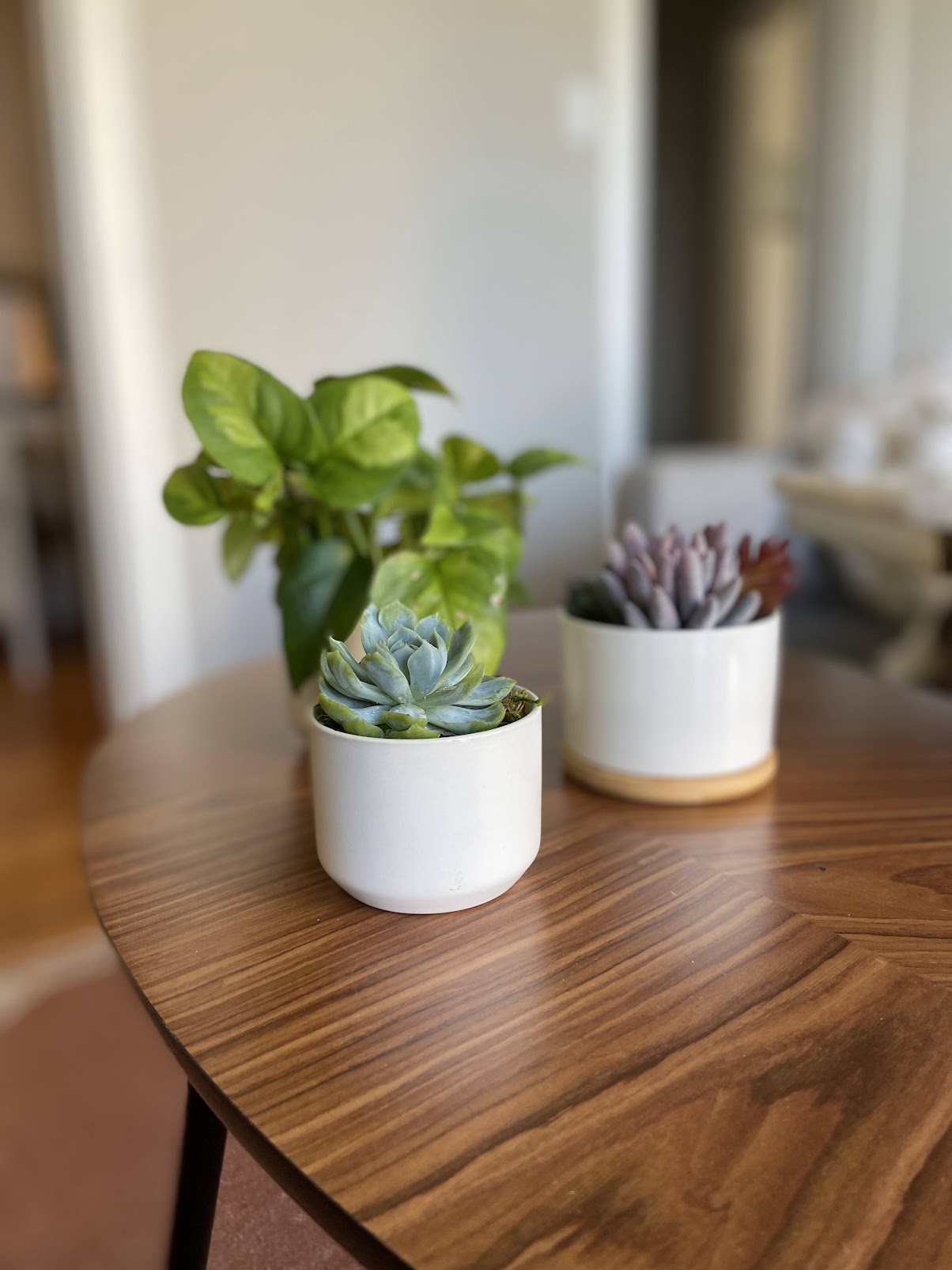 Mini Indoor Plant Pots