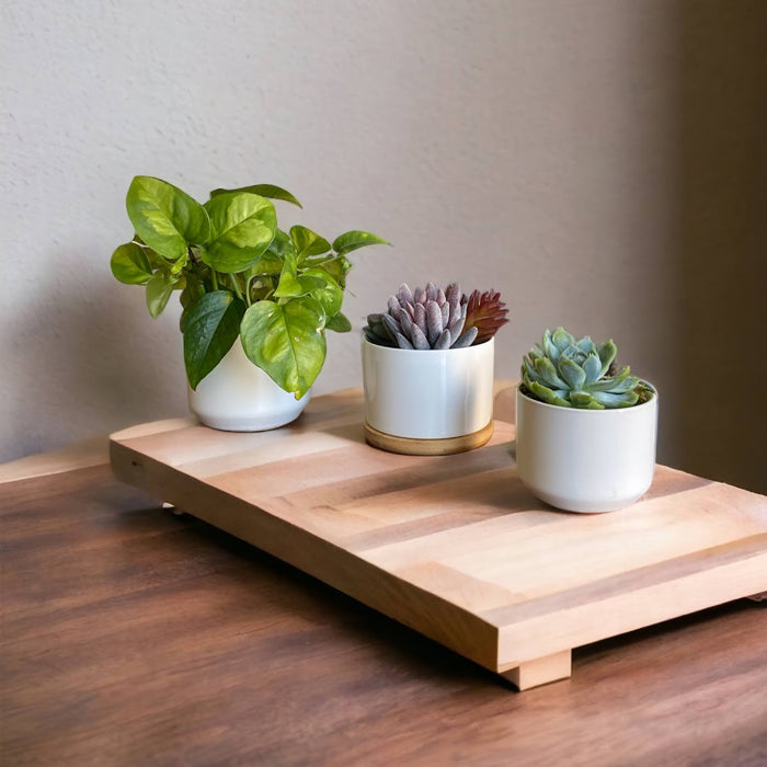 Minimalistic Mini Ceramic Plant Pots