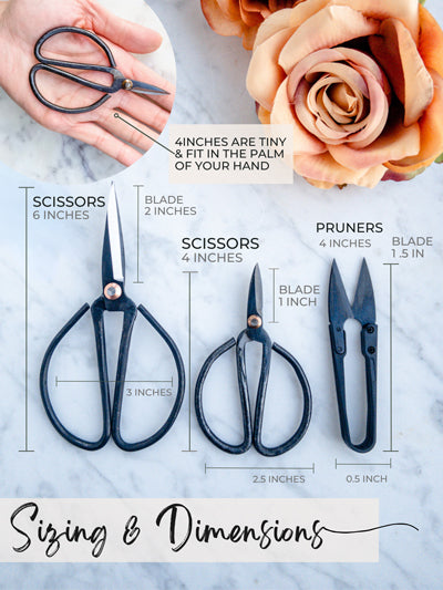 4-Piece Scissors & Pruners Set